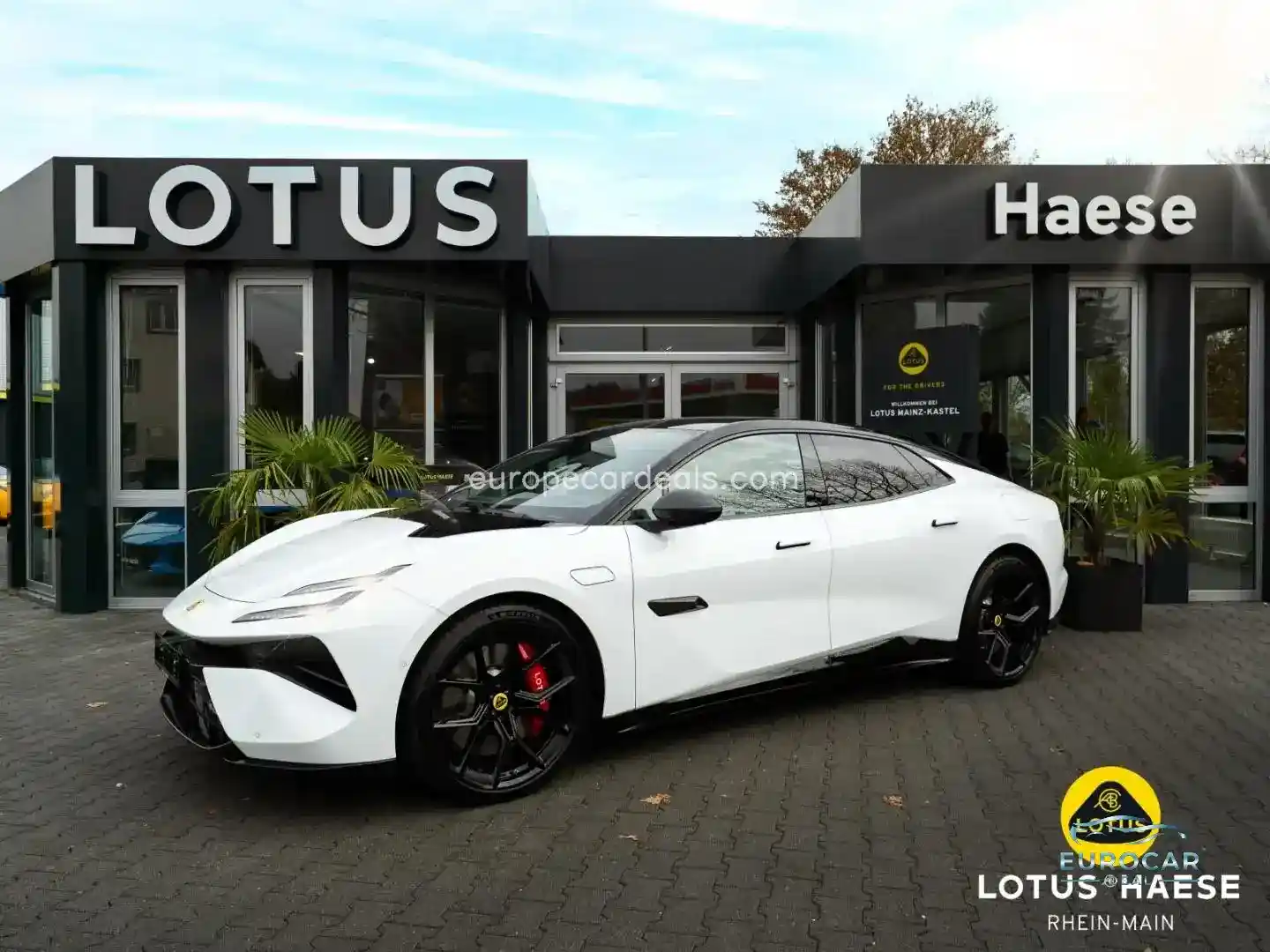 Lotus Emeya