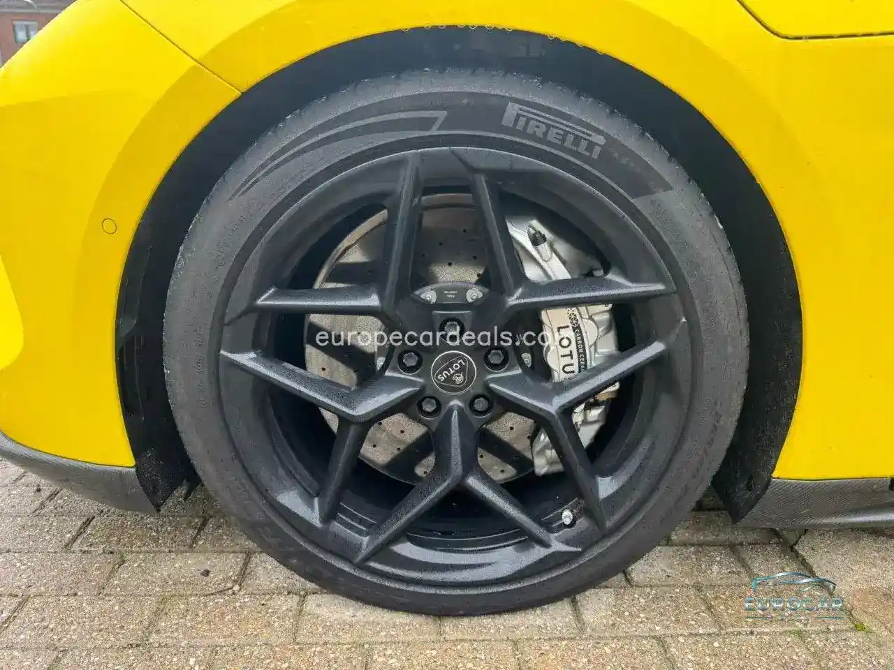 Lotus Emeya