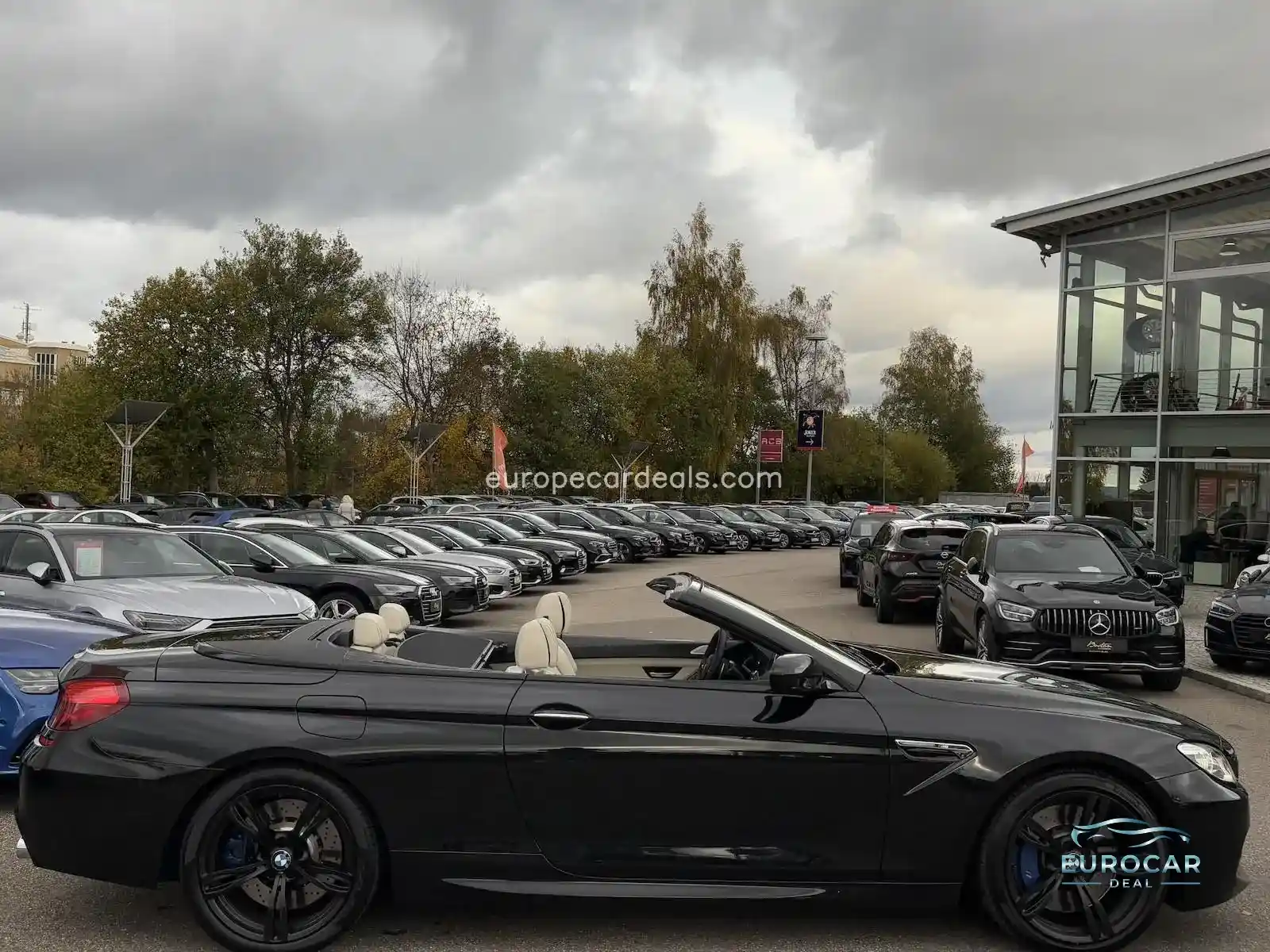 BMW M6
