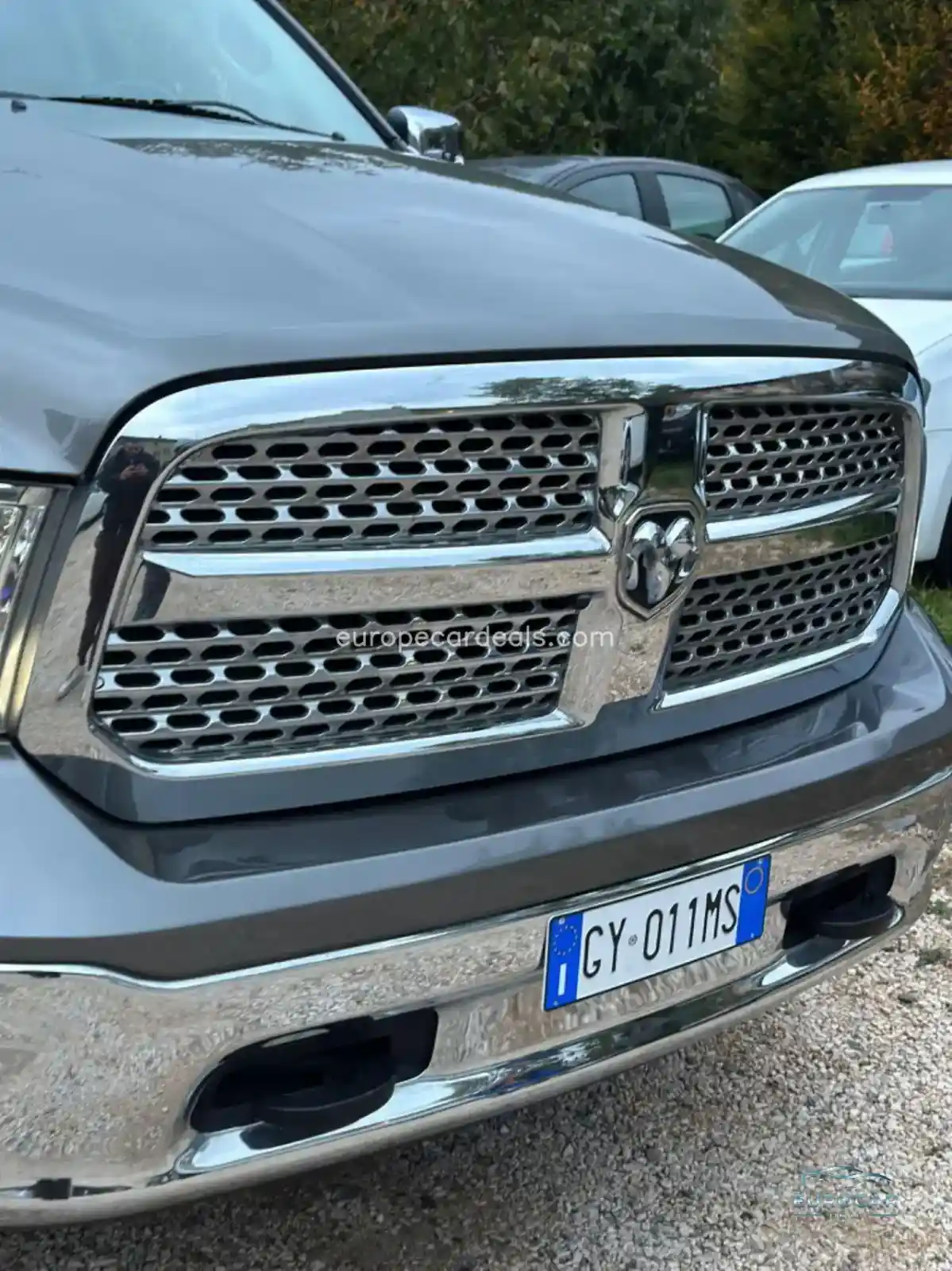 Dodge Other