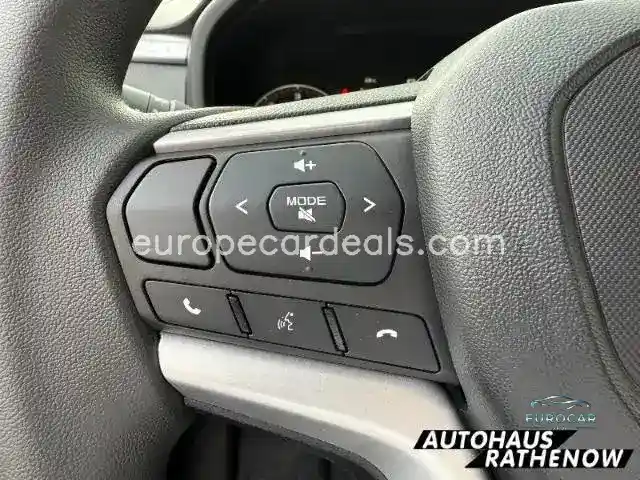 Double Cab 4WD LS SHZ Totwinkelassistent S