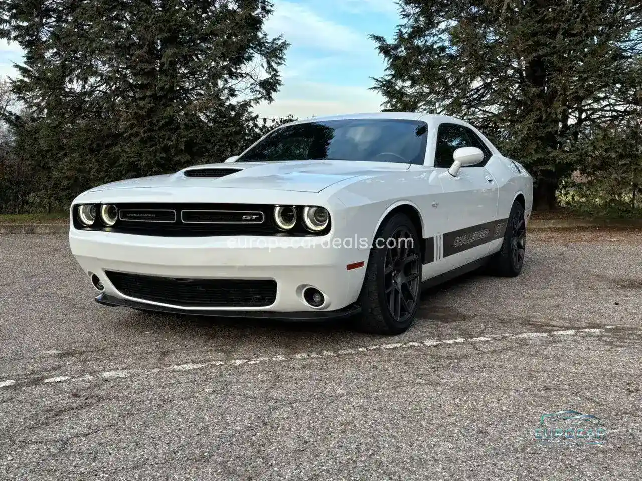 Dodge Other