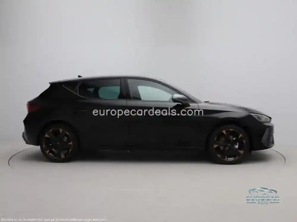 Cupra Other