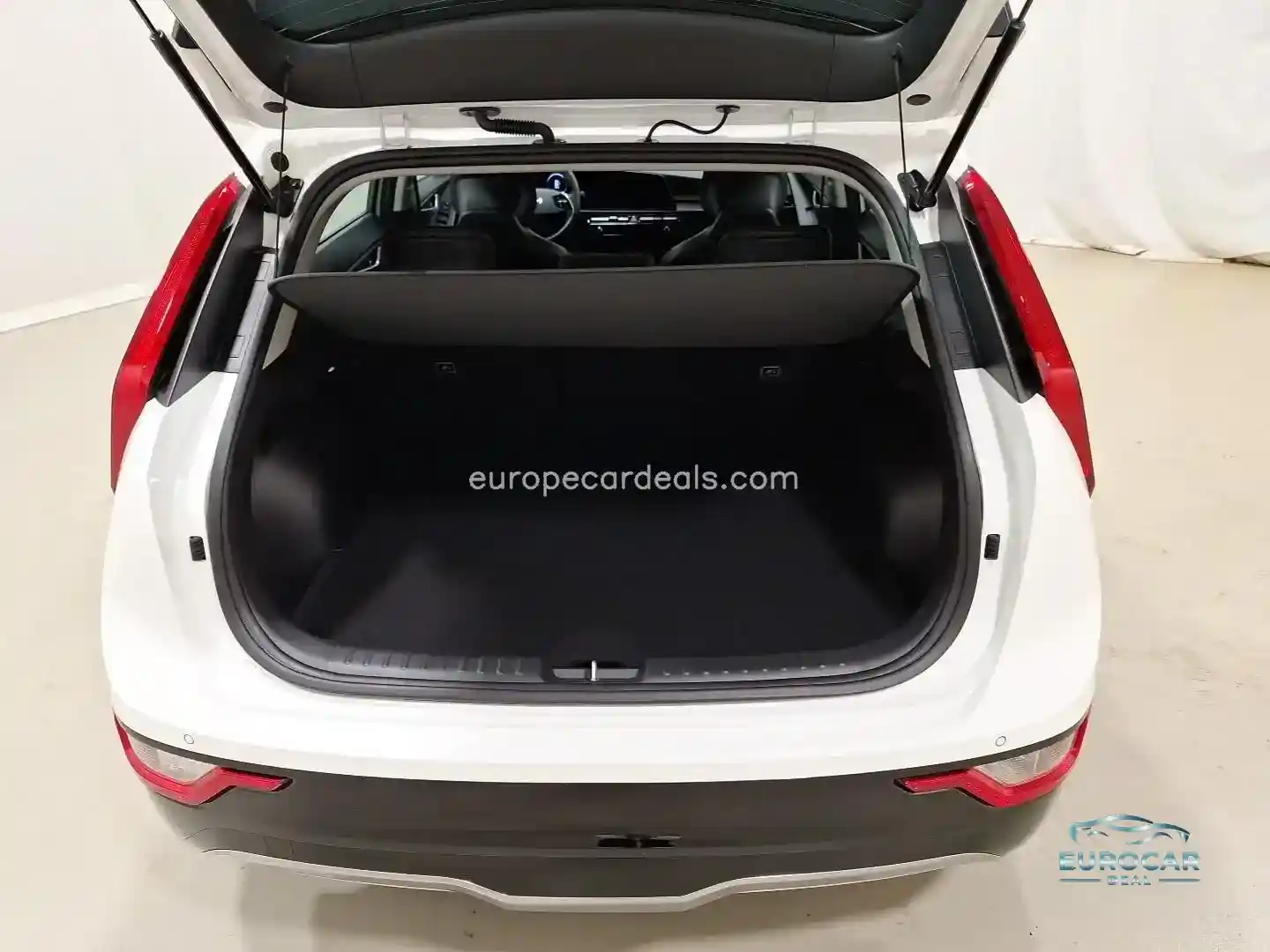 Kia Niro EV