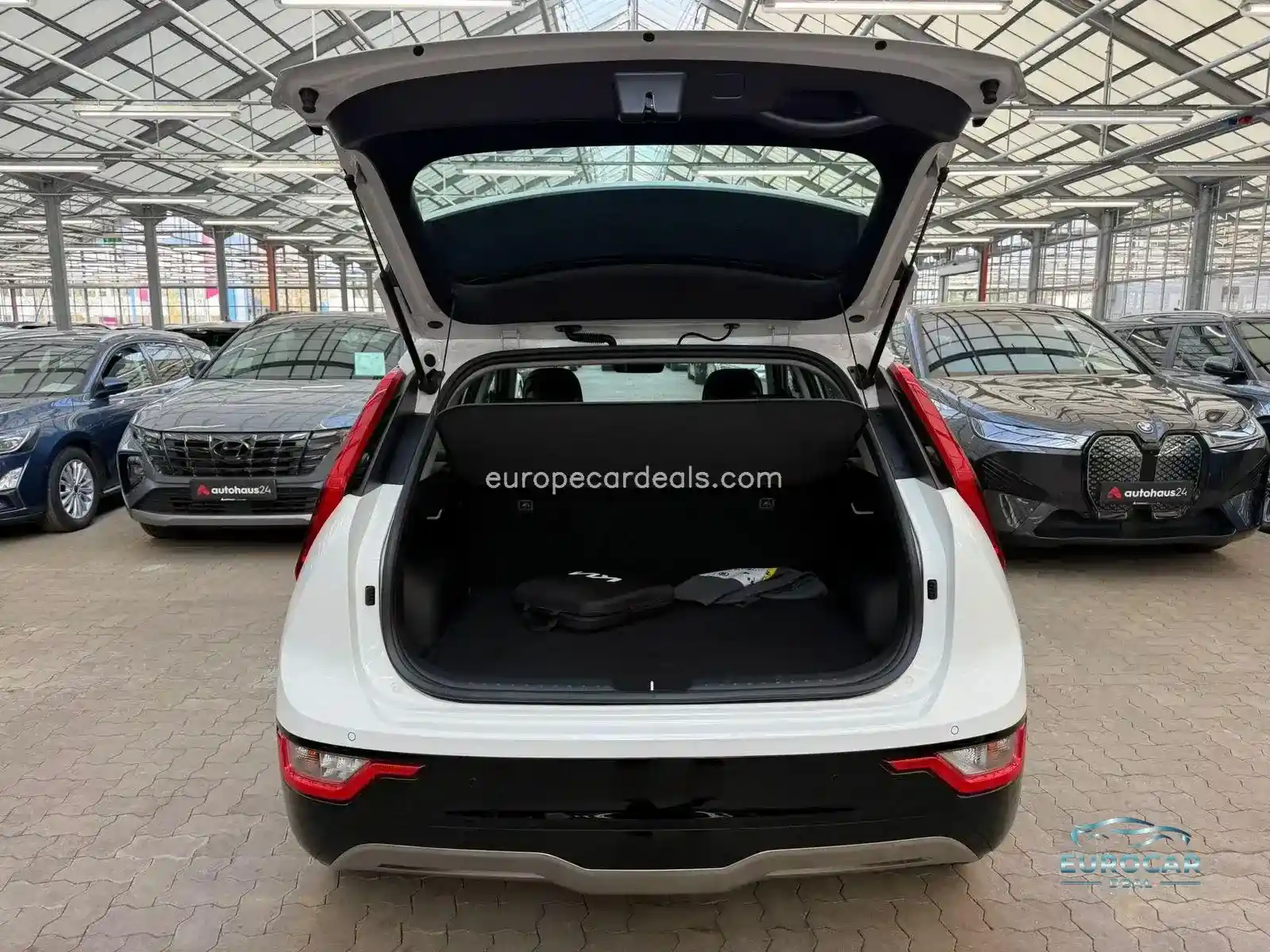 Kia Niro EV