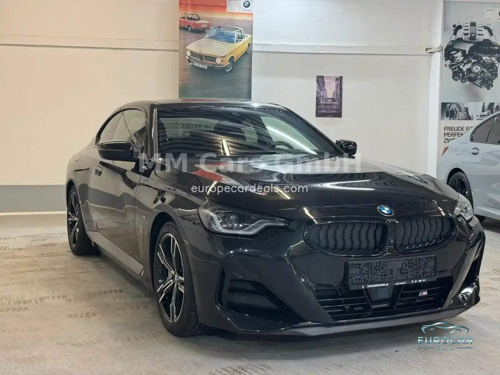 BMW 230