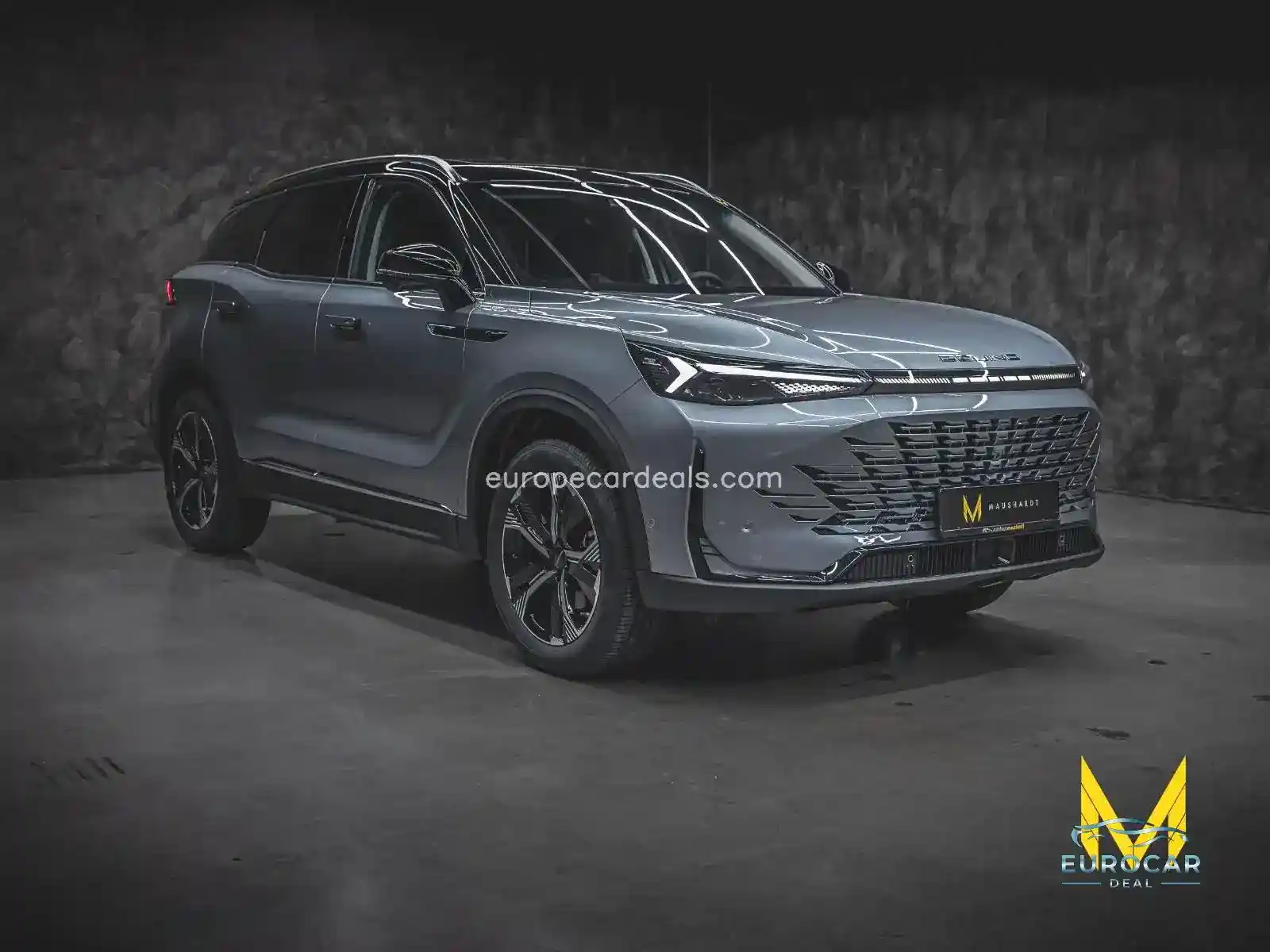 BAIC Other