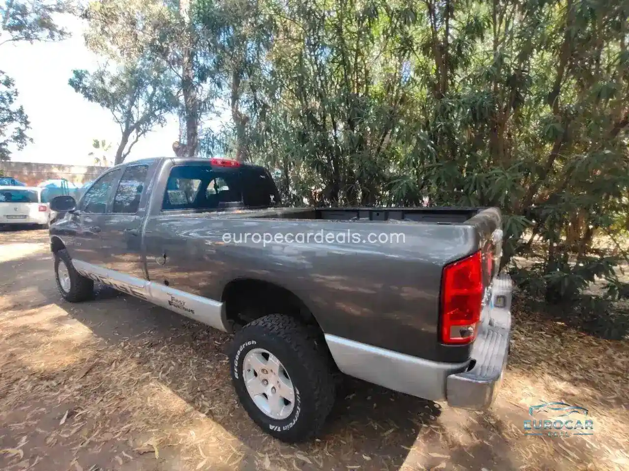 Dodge Other