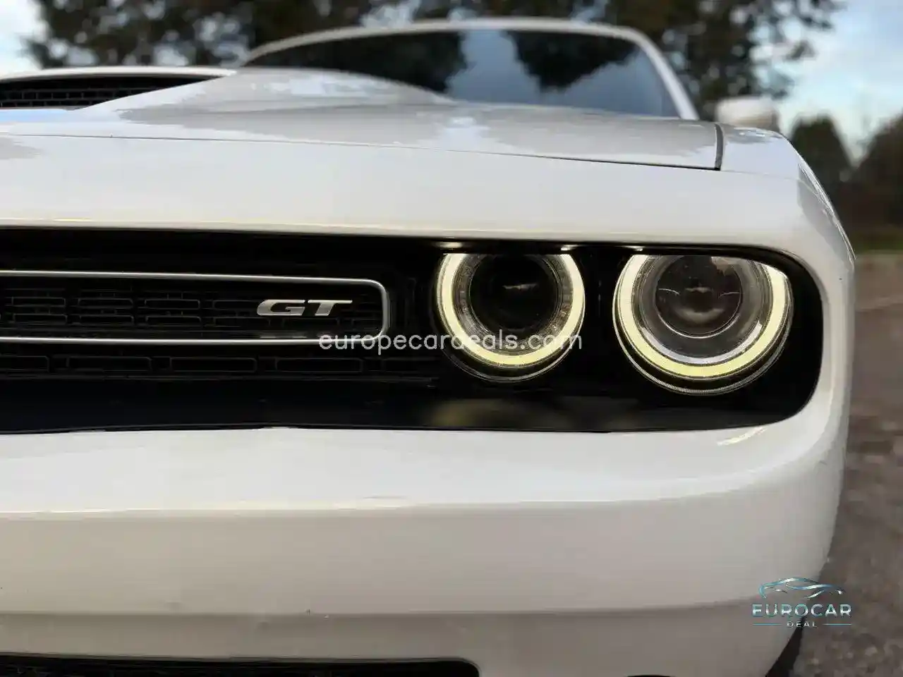 Dodge Other