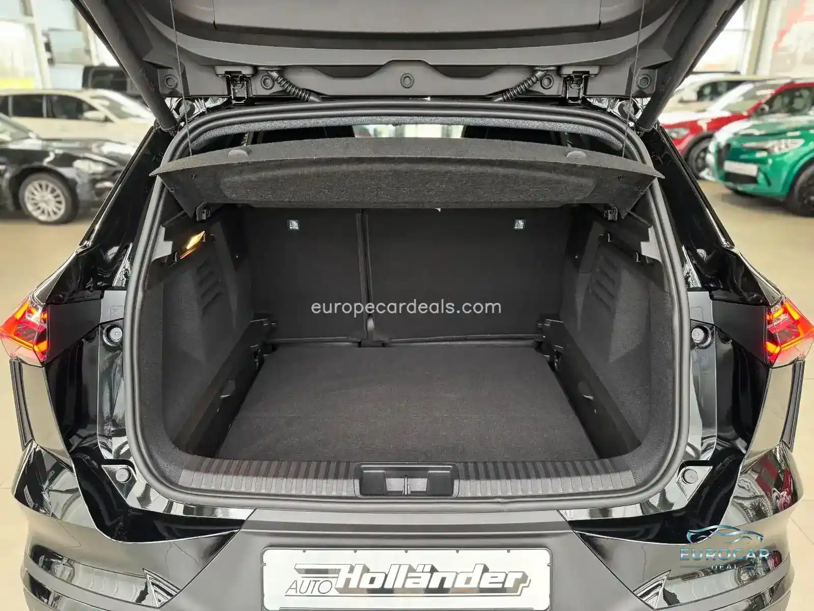 Mitsubishi Grandis