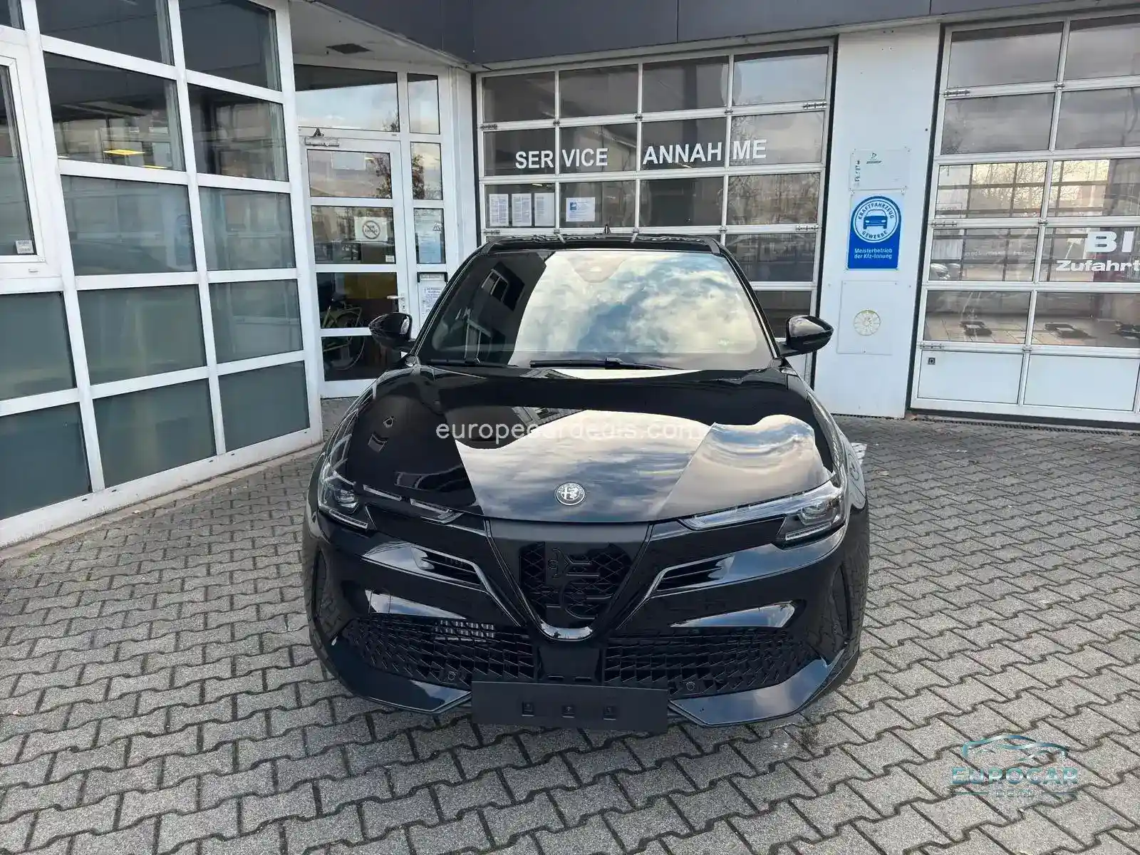Alfa Romeo Junior