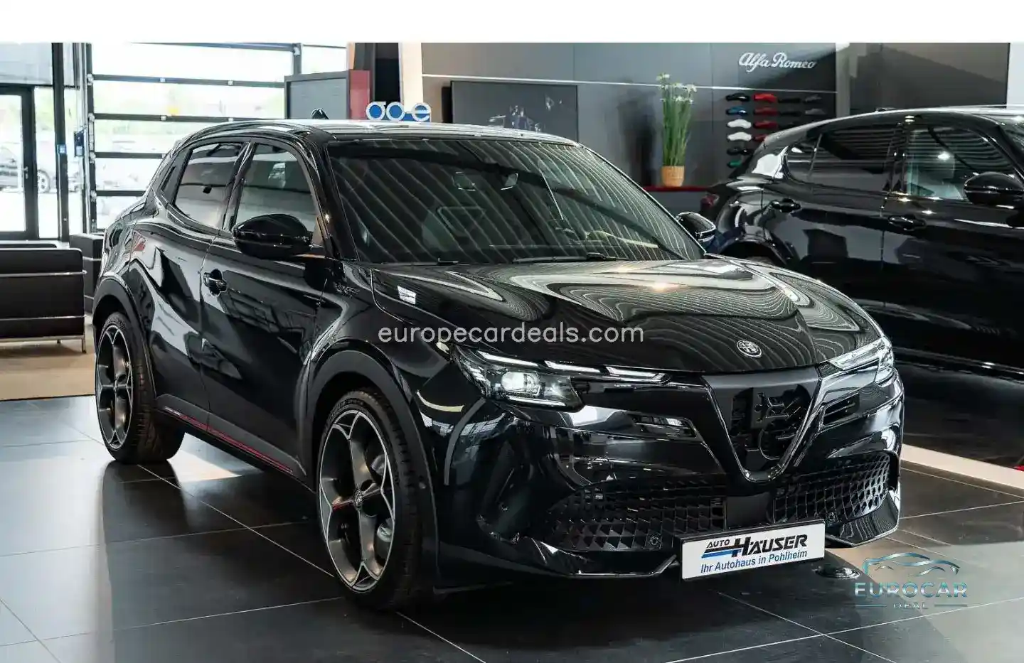 Alfa Romeo Junior
