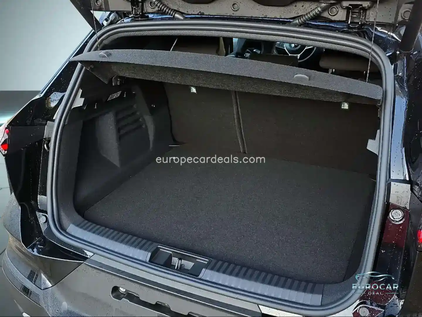 Mitsubishi Grandis