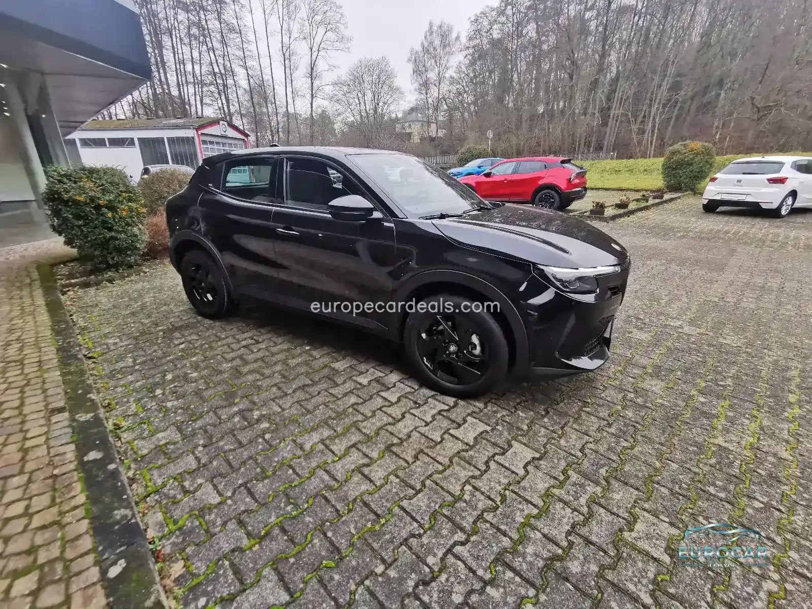 Alfa Romeo Junior