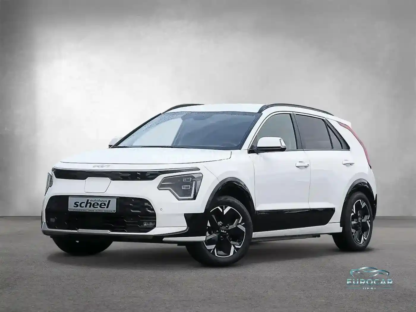 Kia Niro EV