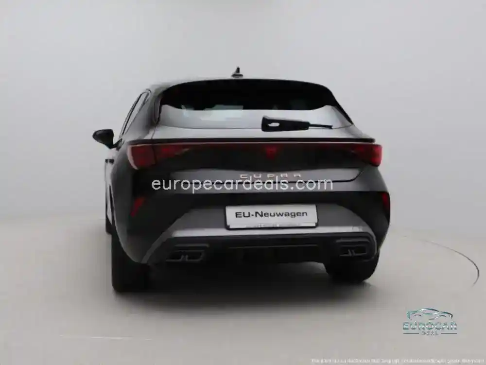Cupra Other