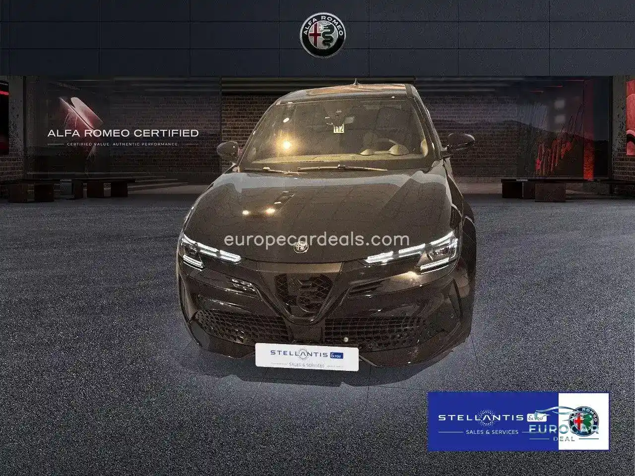 Alfa Romeo Junior