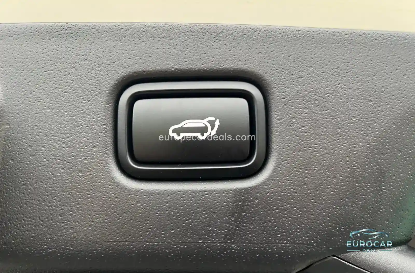 Kia Niro EV