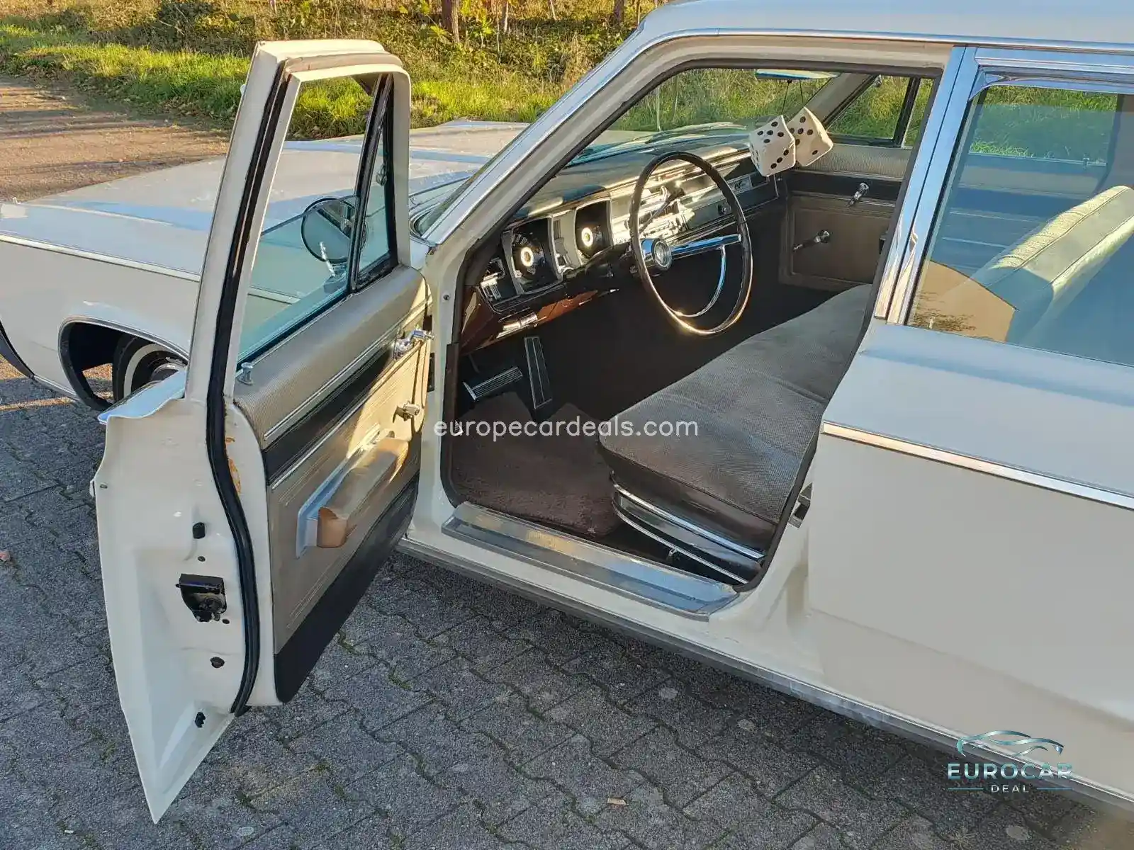 Dodge Other