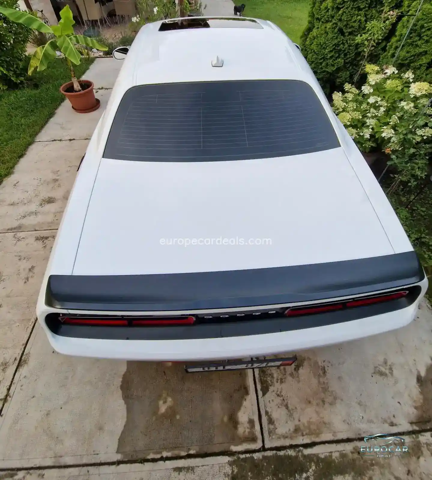 Dodge Challenger