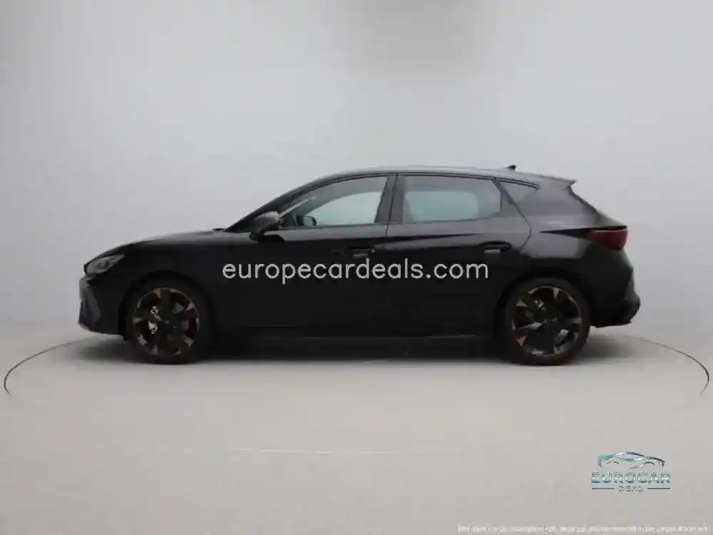 Cupra Other