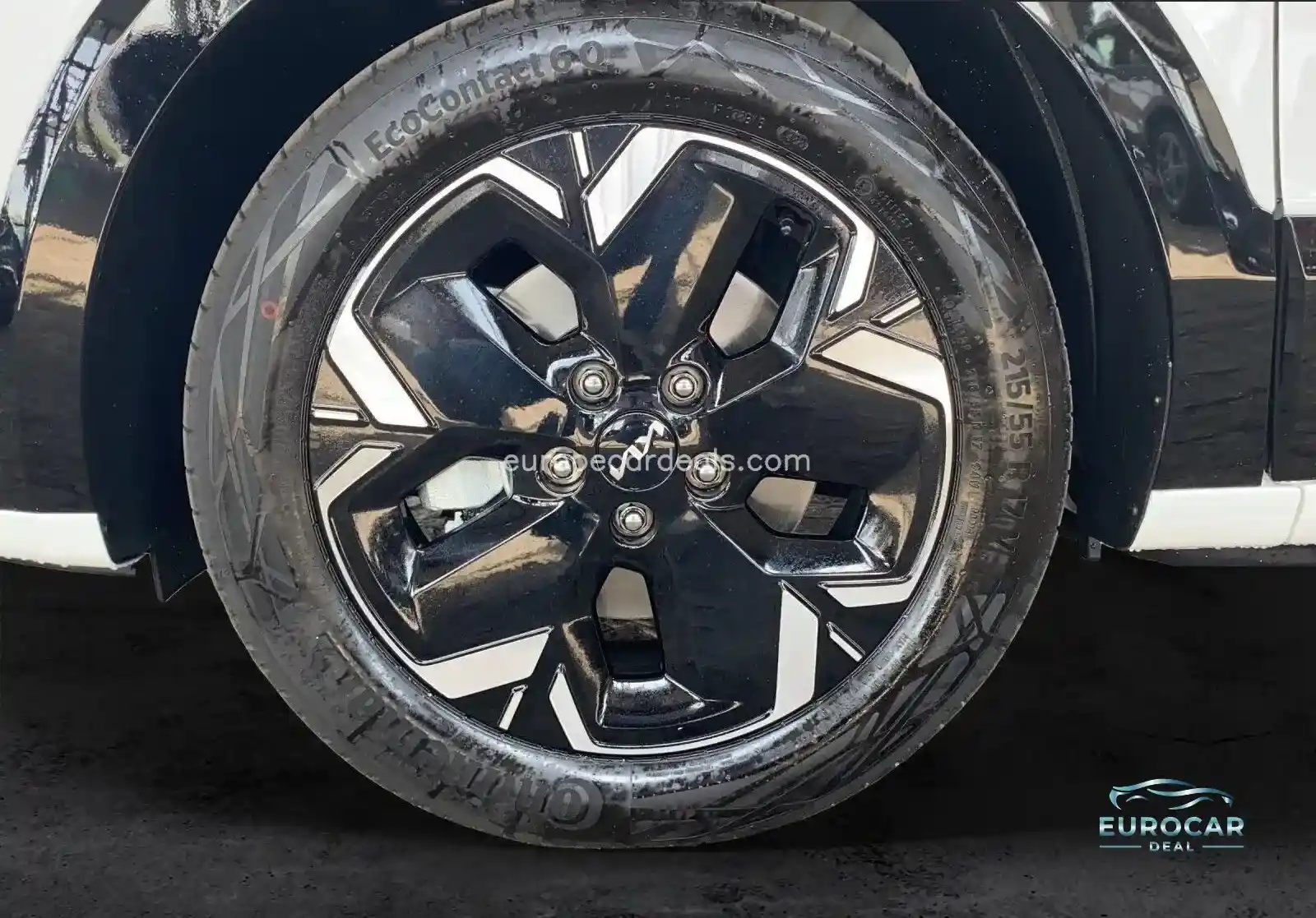 Kia Niro EV