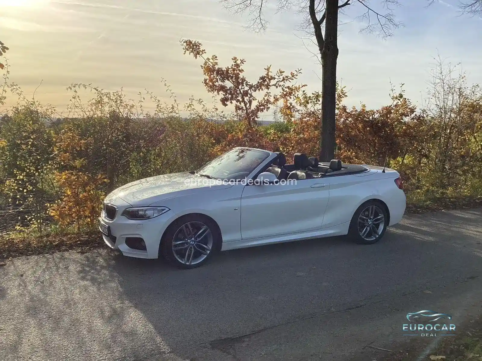 BMW 220
