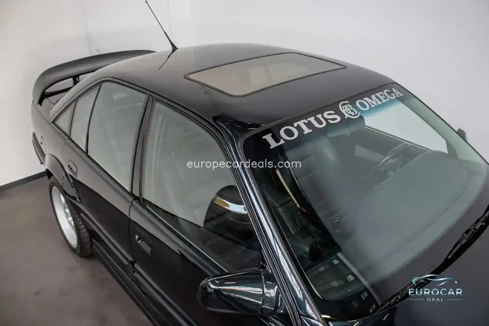 Lotus Other