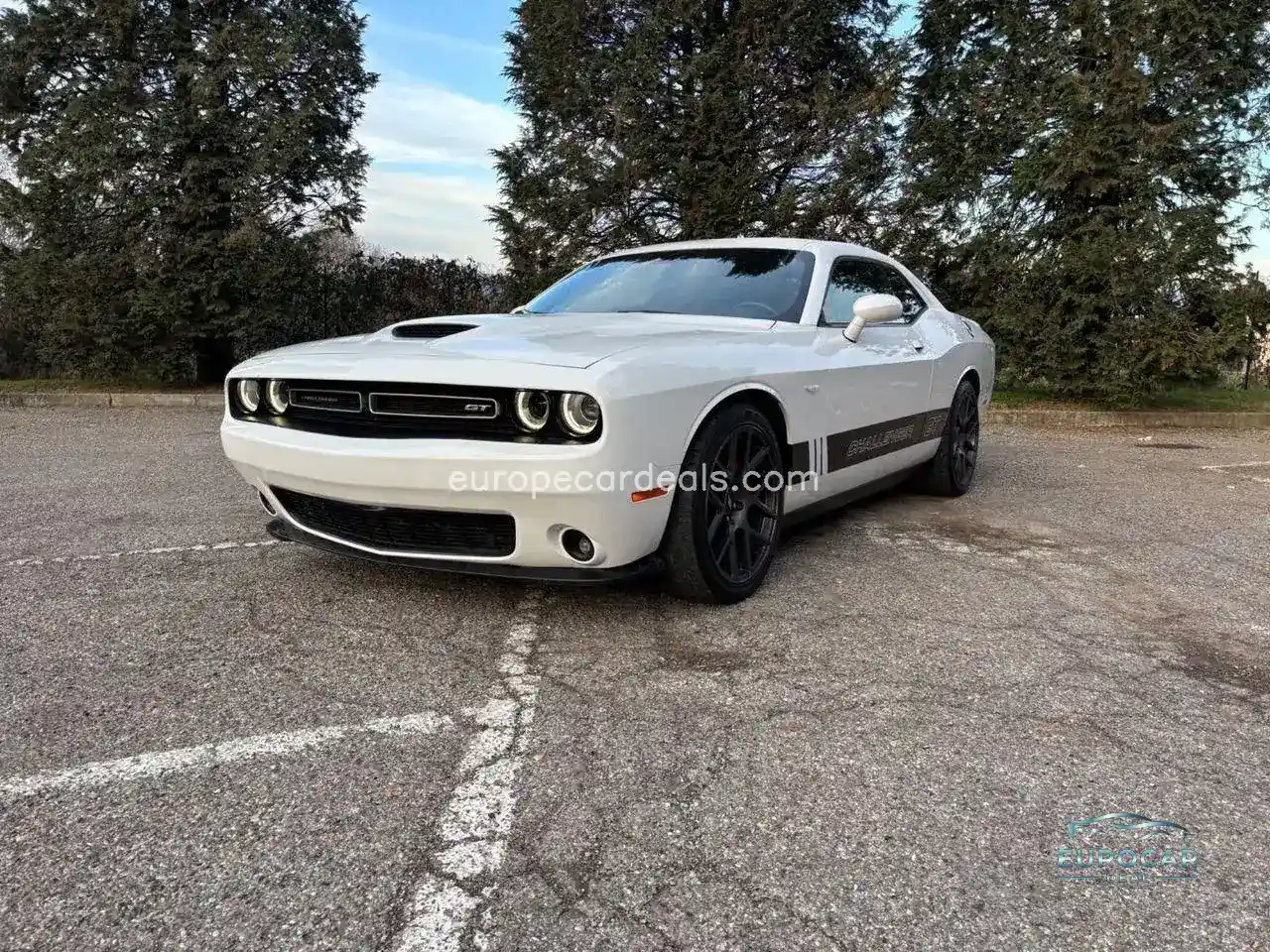 Dodge Other