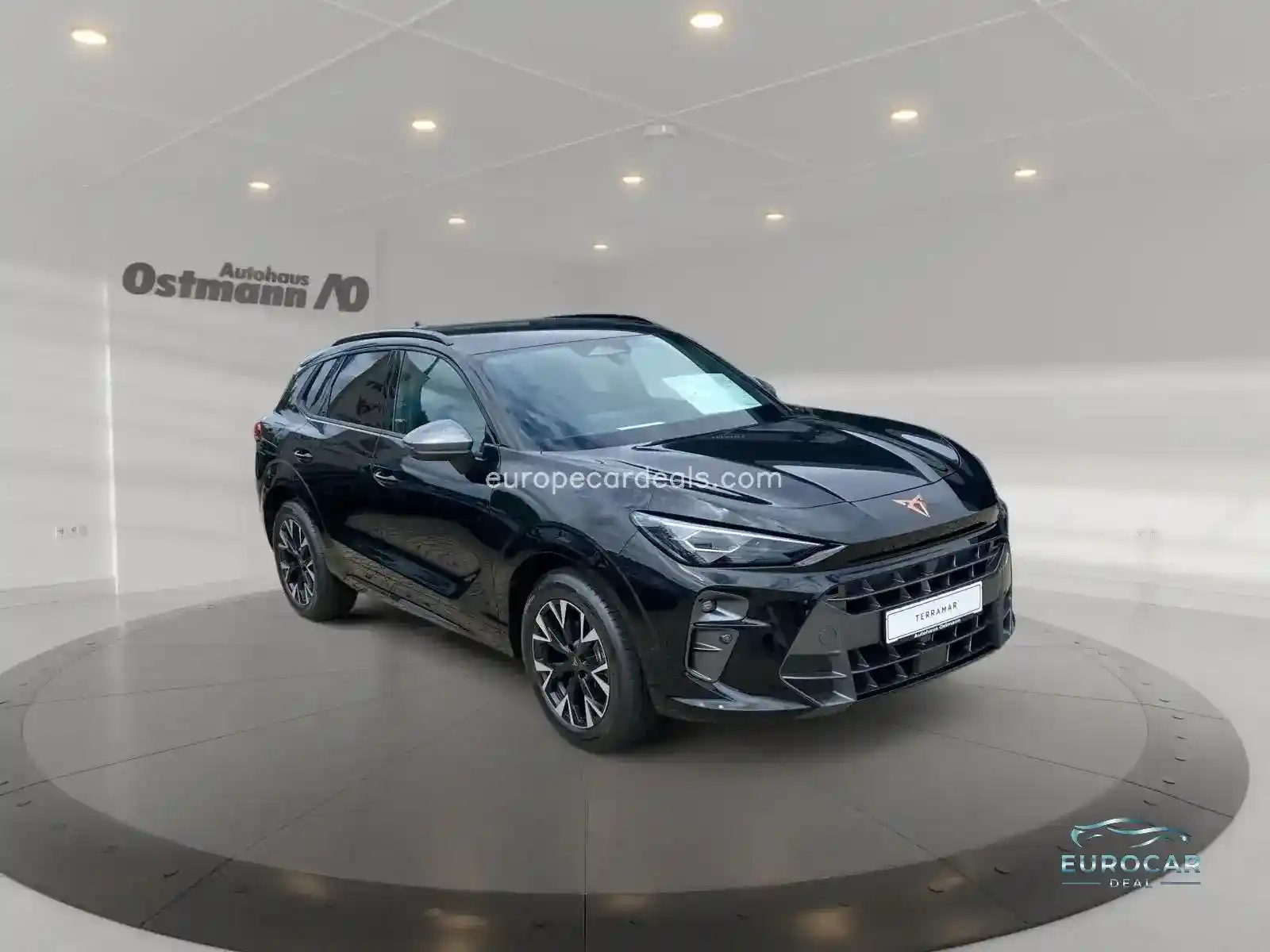Cupra Terramar