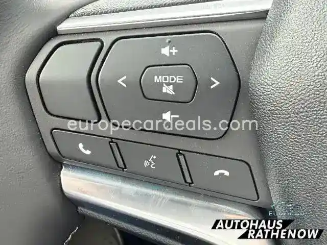 Double Cab 4WD LSE Allrad Leder LED Mehrzo