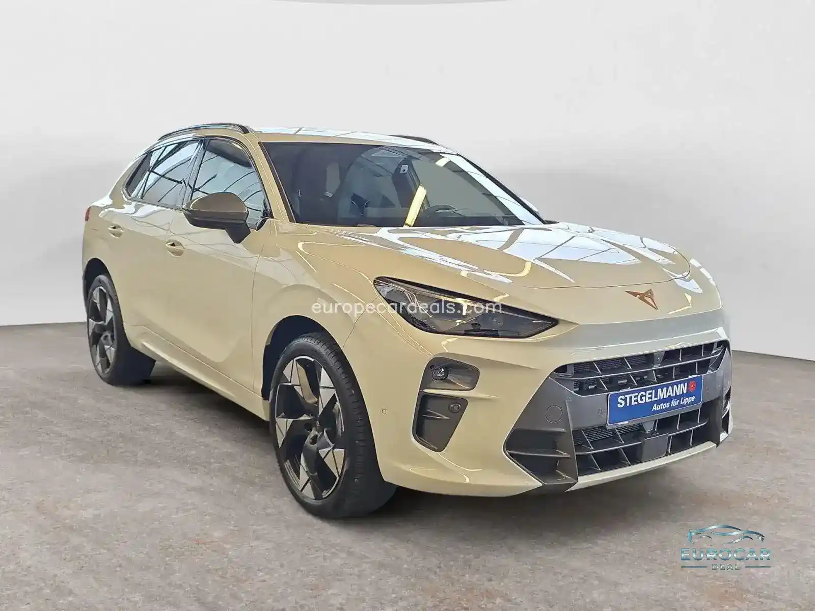 Cupra Terramar