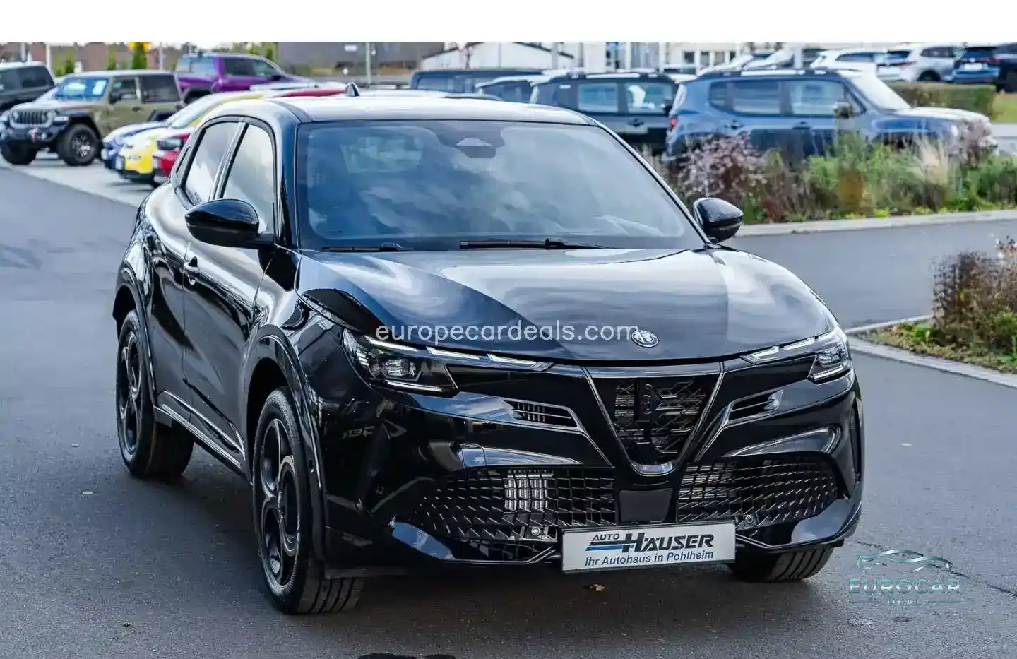 Alfa Romeo Junior