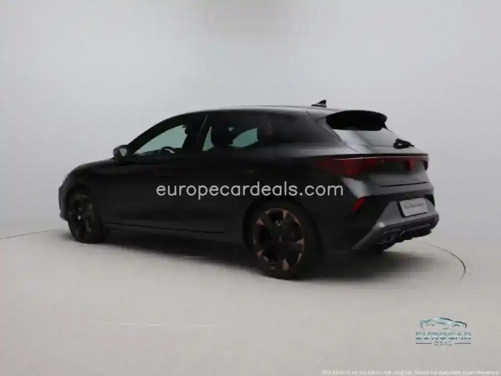 Cupra Other