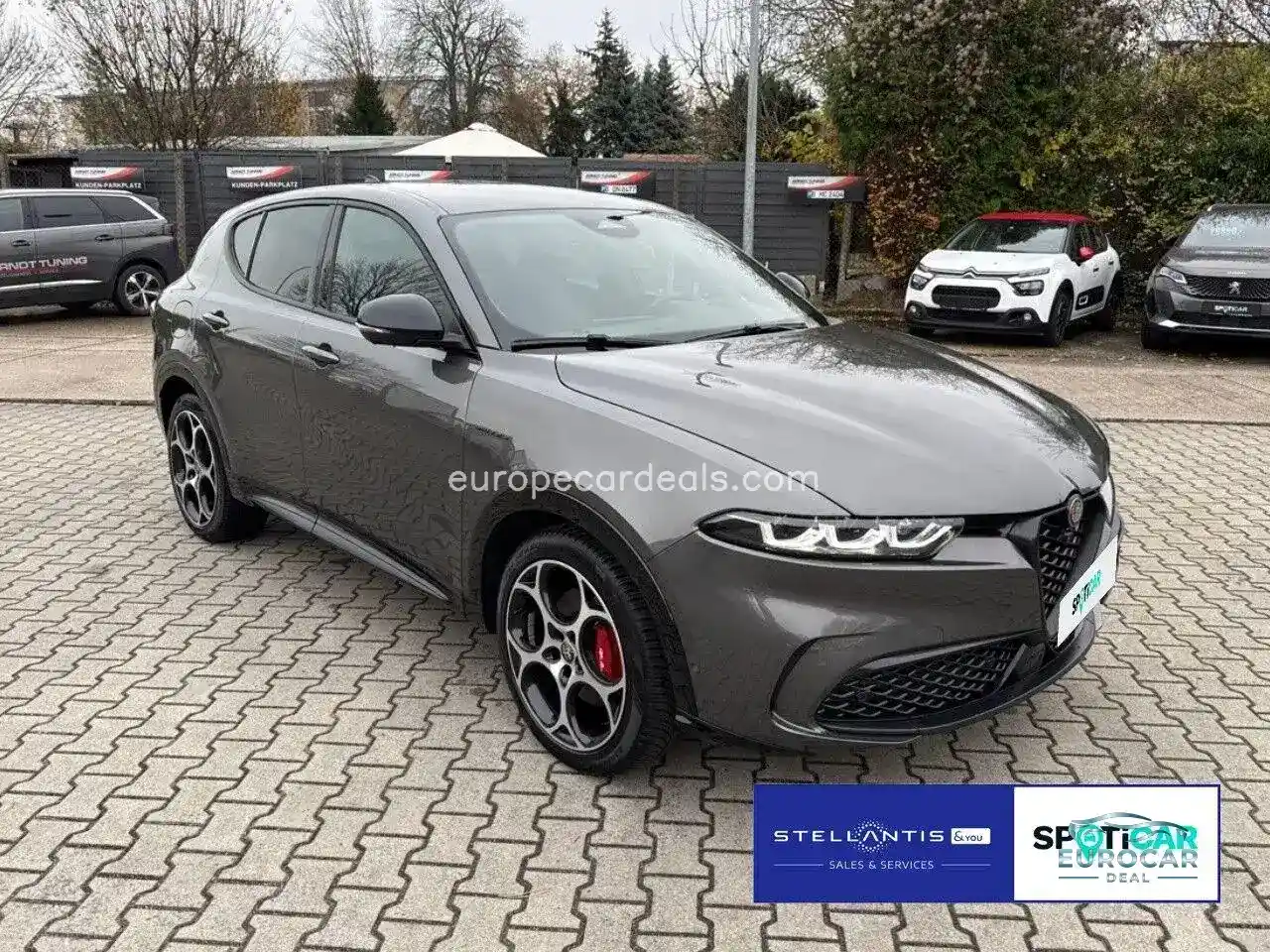 Alfa Romeo Tonale