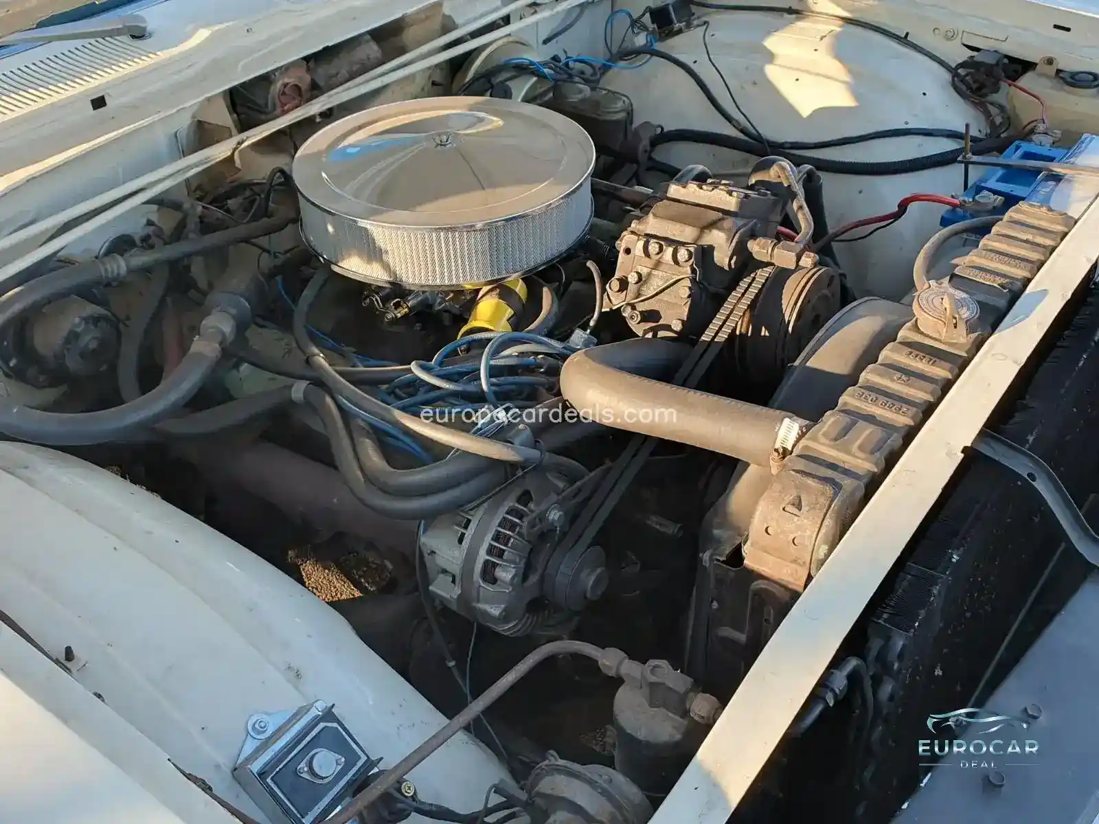 Dodge Other
