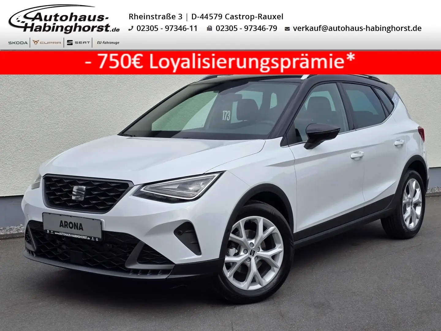 Seat Arona