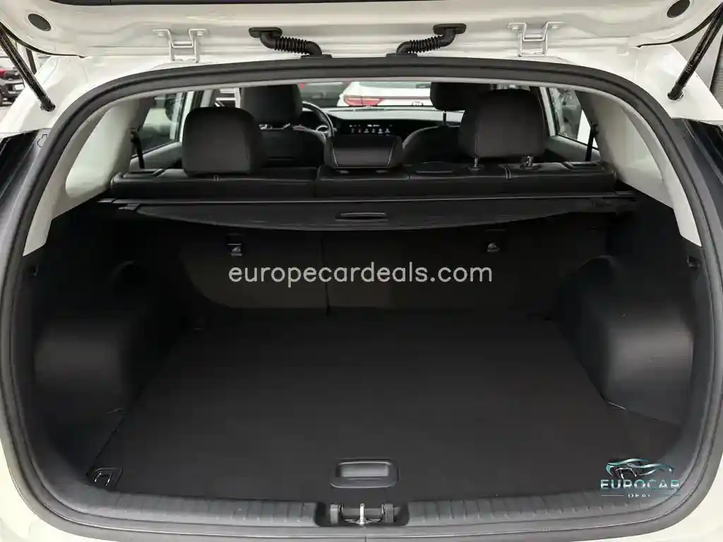 Kia Niro EV