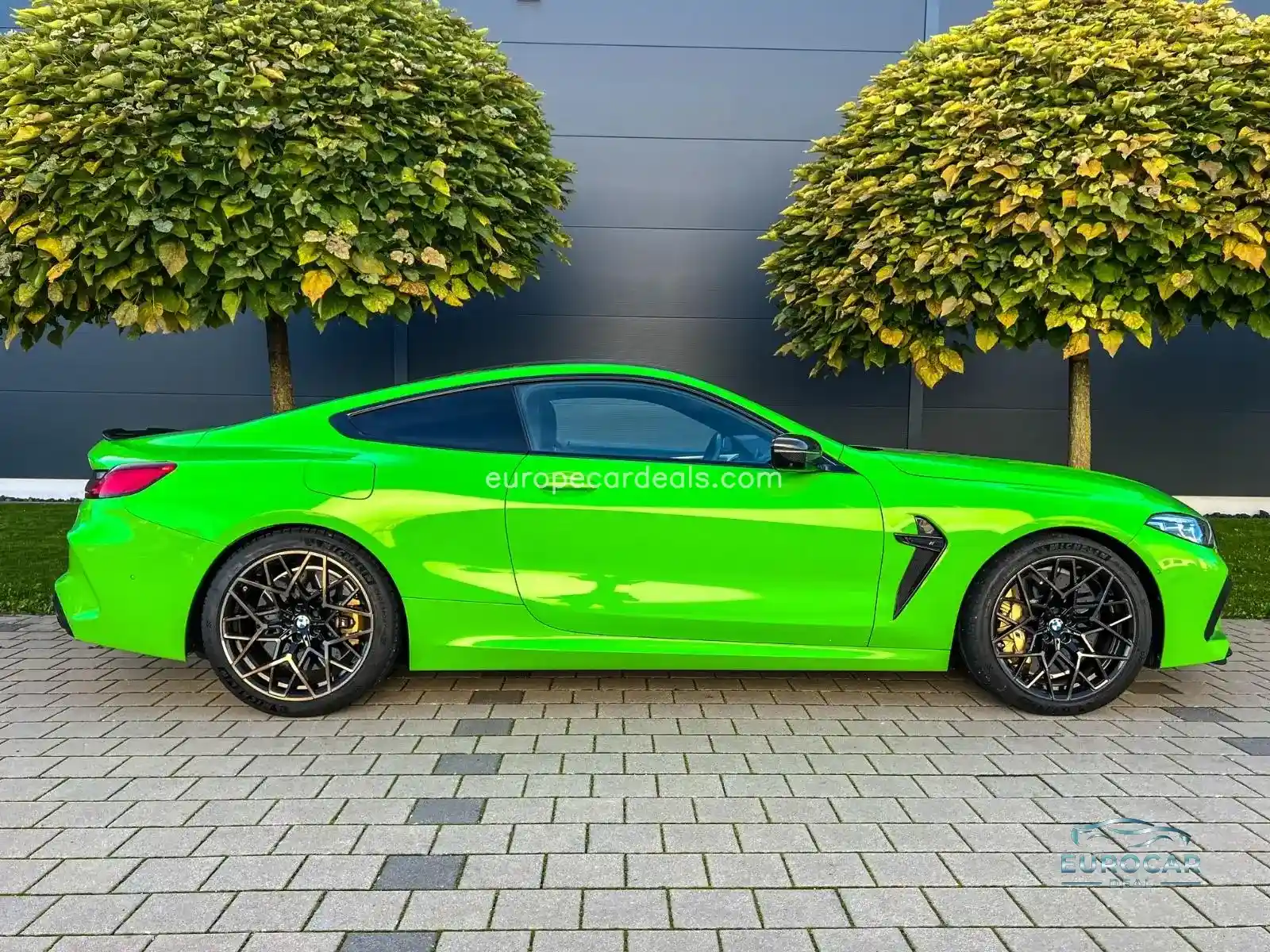 BMW M8