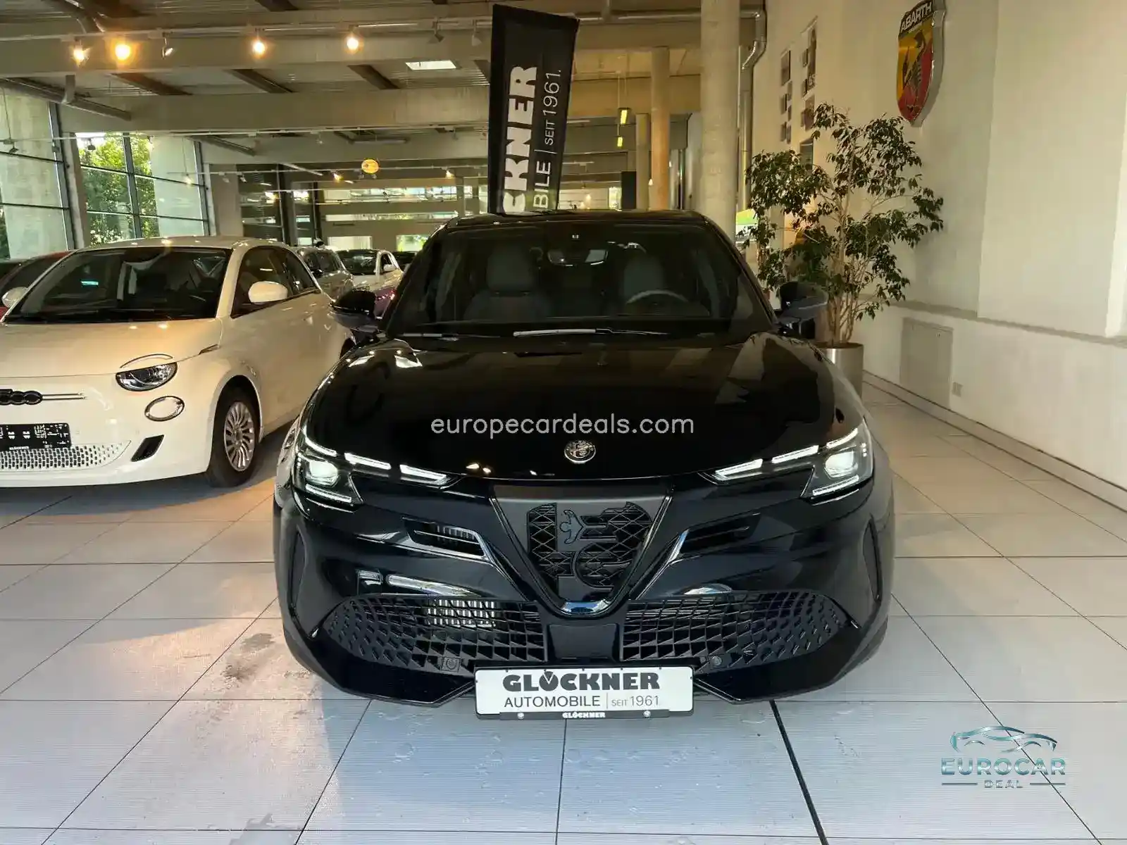 Alfa Romeo Junior