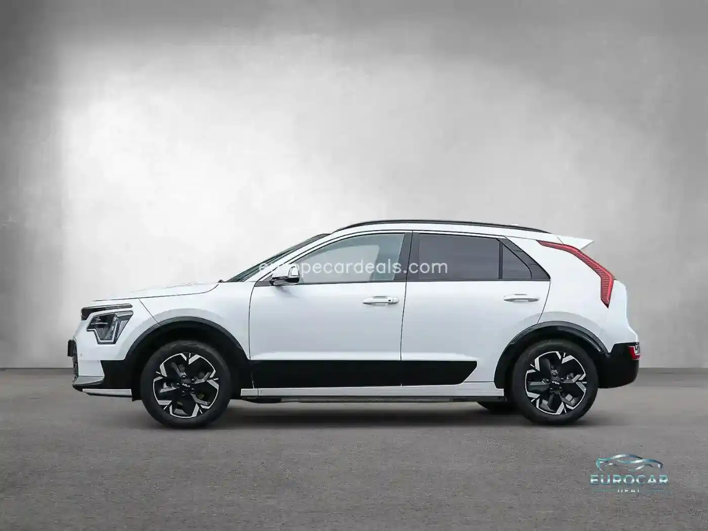 Kia Niro EV