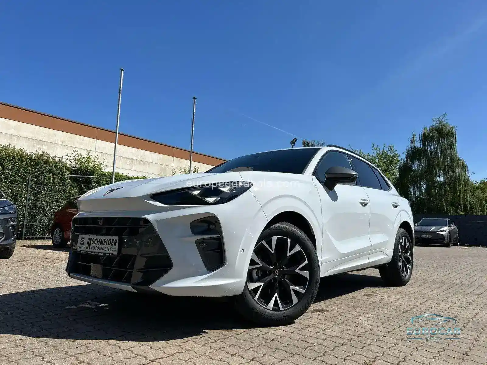 Cupra Terramar