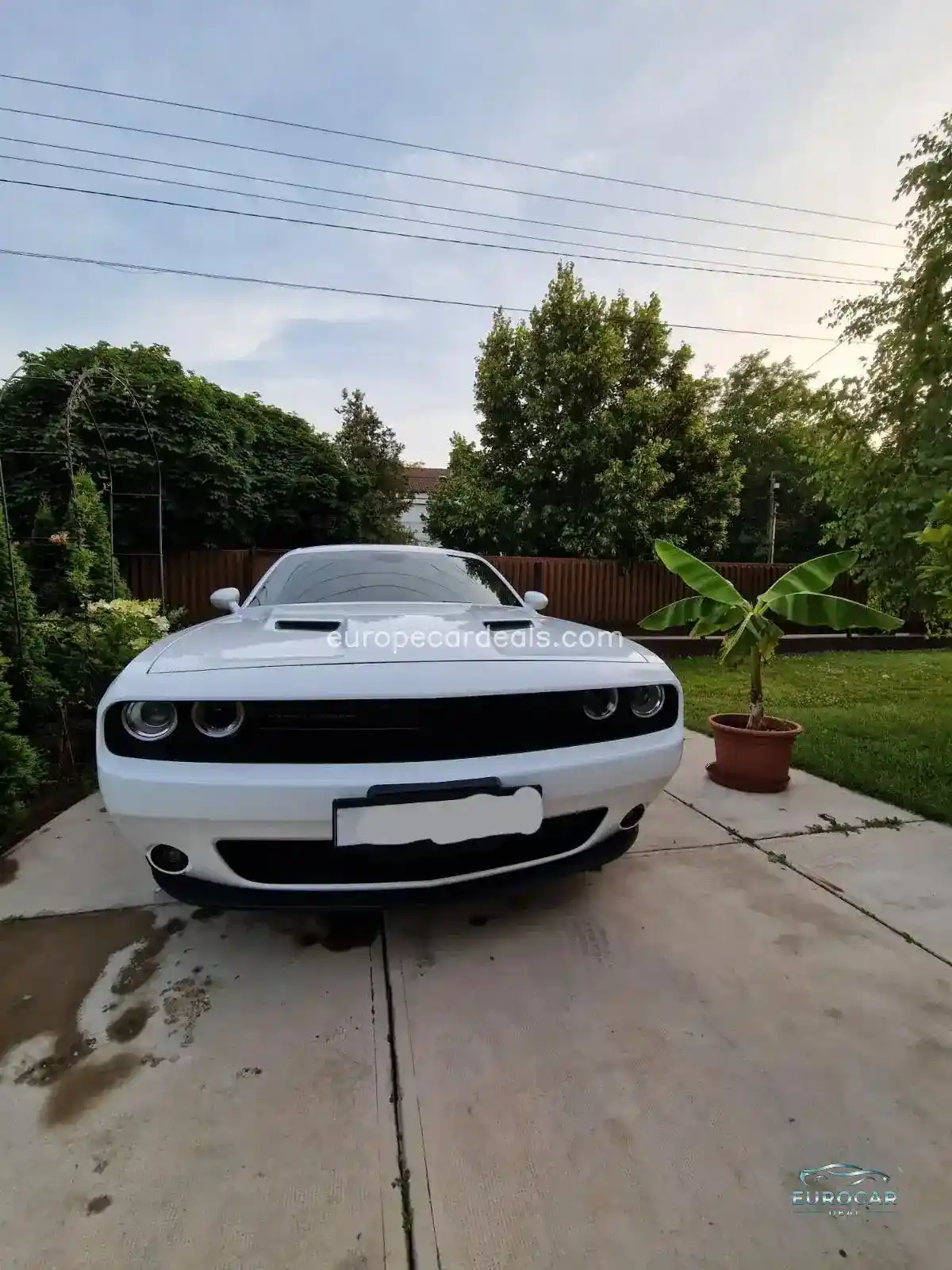 Dodge Challenger