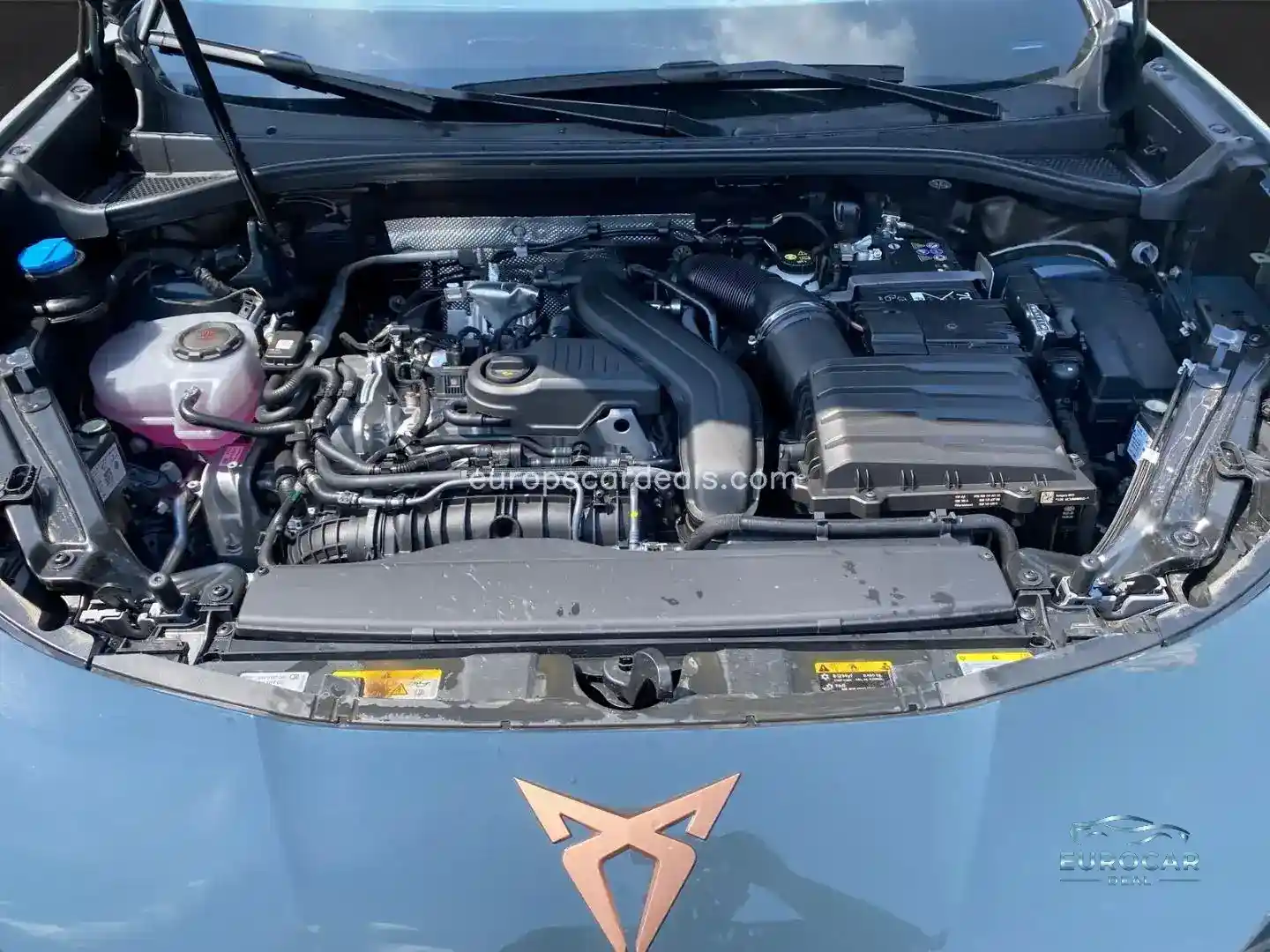 Cupra Terramar