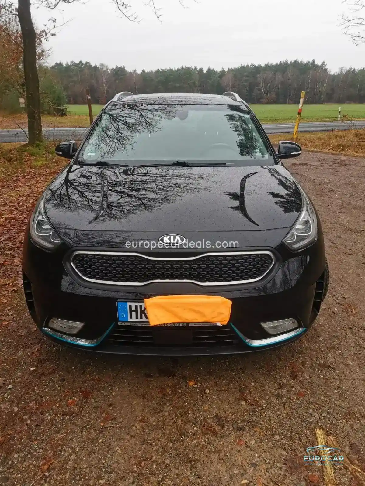 Kia Niro EV
