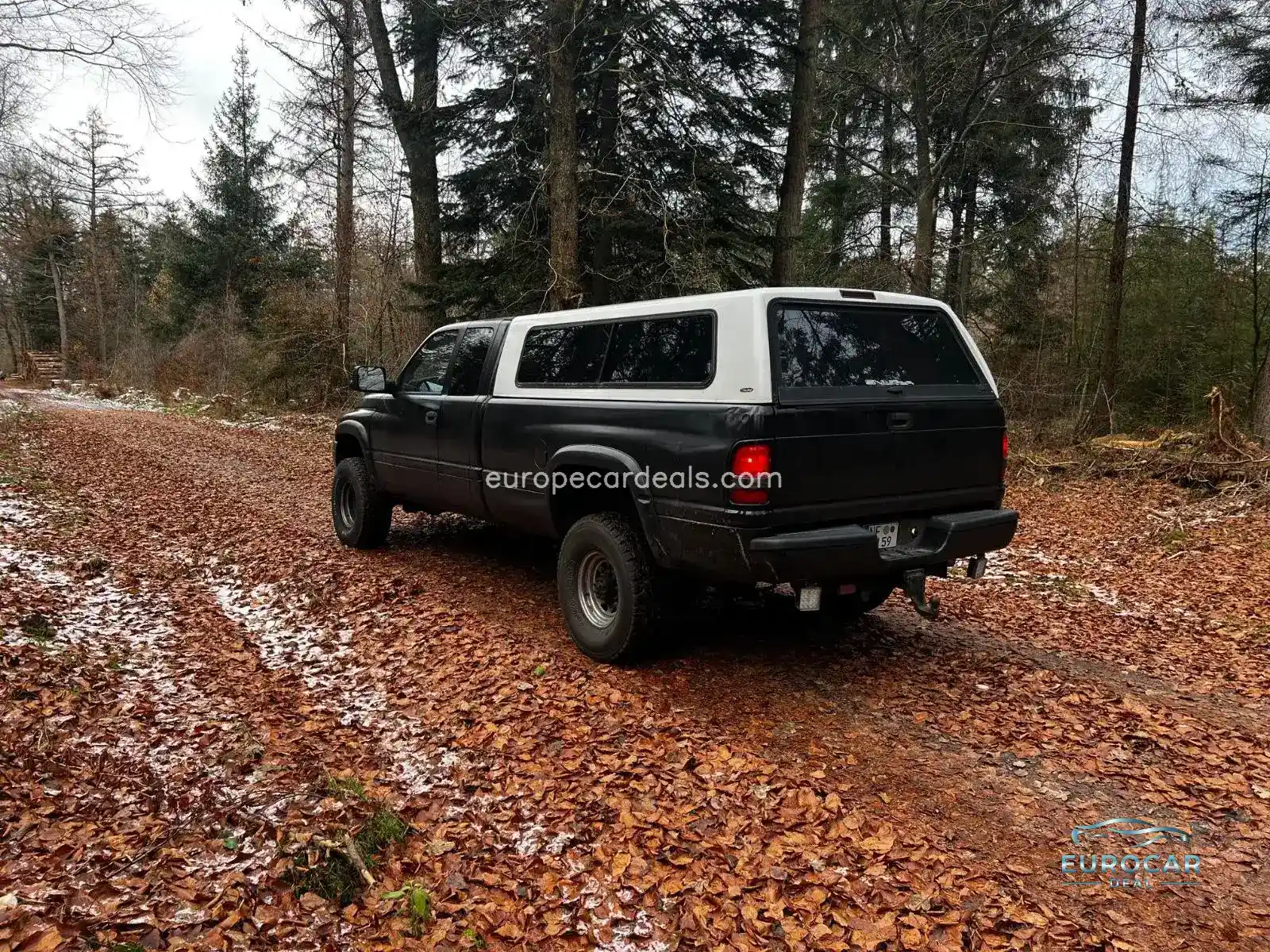 Dodge RAM