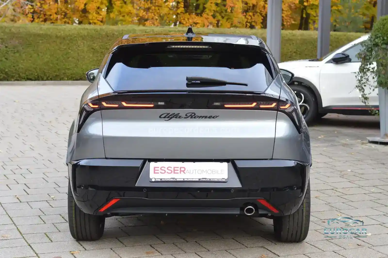 Alfa Romeo Junior