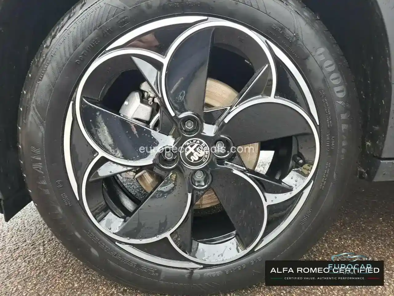 Alfa Romeo Junior