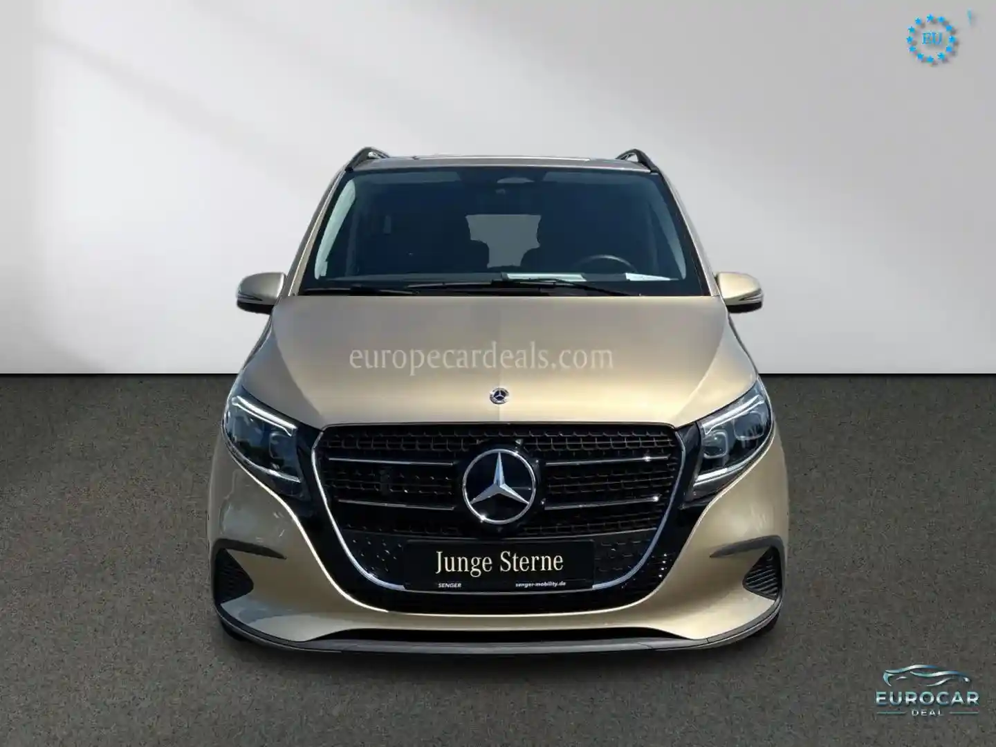 Mercedes-Benz V 250