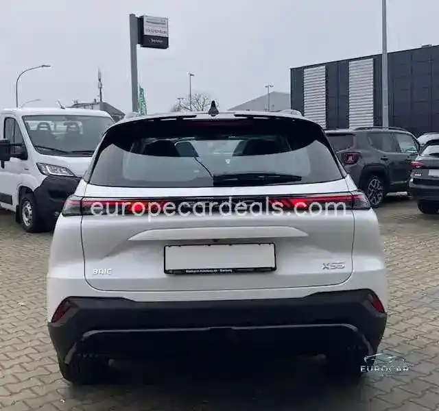 BAIC Other